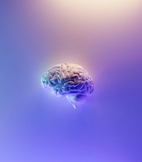 psych Picture of a brain