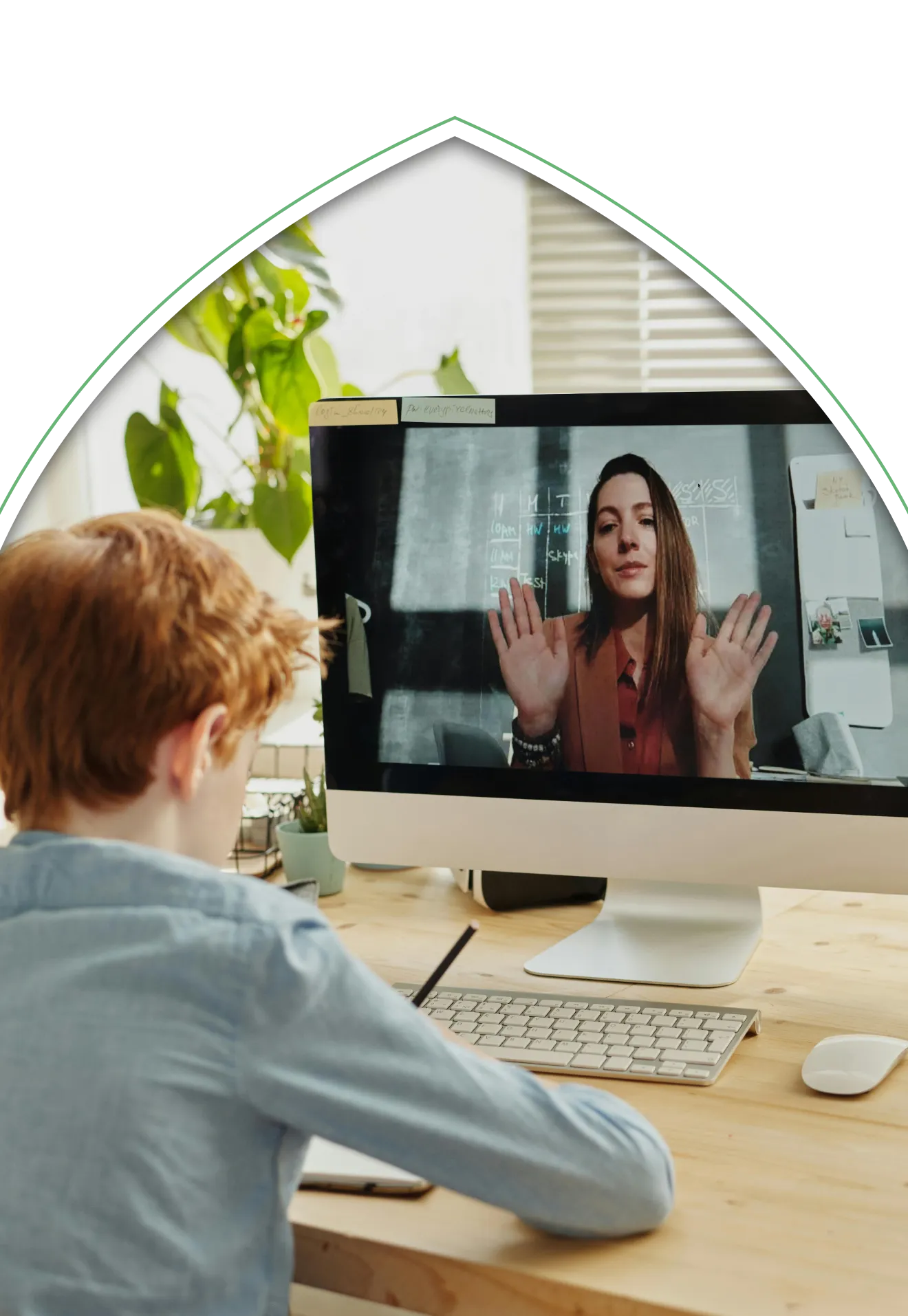 online-courses-offered-12-14