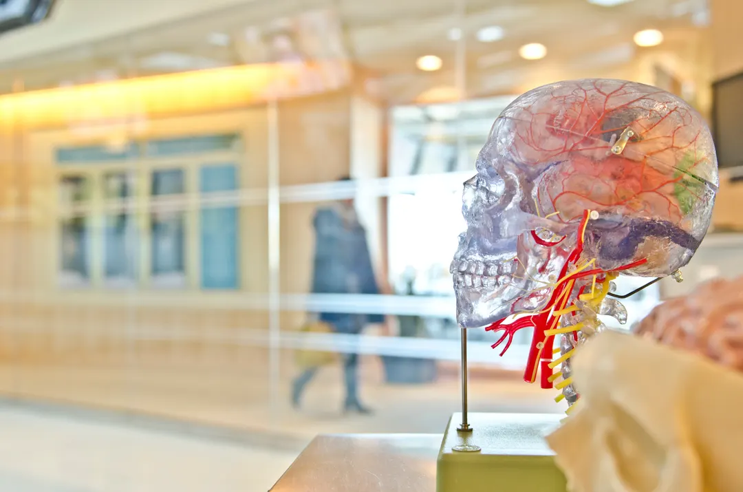 The 10 Best Universities for Medicine in the UK